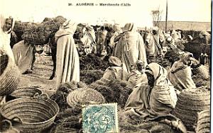 Images d'Algerie 187
